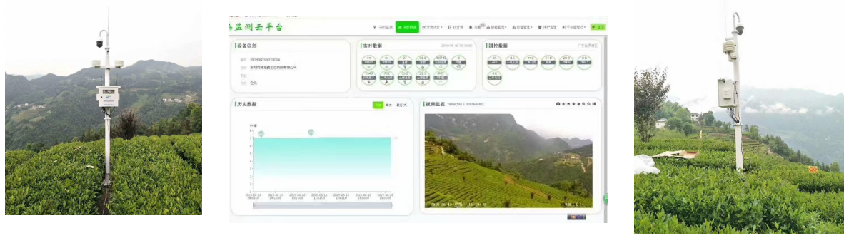 1732935201637295.png 茶园气象.png